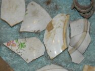 DSCN2654.jpg