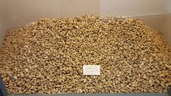 20160924_175750.jpg