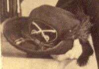 Civil War; Union.cavalry.officers.''Burnside''.pattern.hat,here.cavalry.officer..jpg