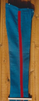 1865 sky blue arty trousers.jpeg