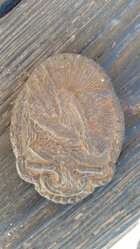 20161009_163716.jpg