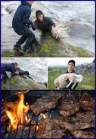 Lambchops - the rescue.jpg