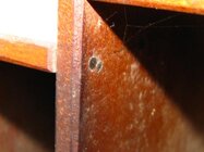 IMG_1724_edited-1.jpg