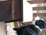 IMG_1721.jpg
