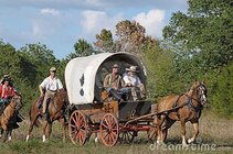 Civil War; Confederate.supply.wagon.[reenactors]..jpg