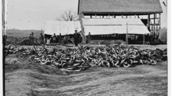 Civil War; Union.supply.Commissary.Dept.,slaughterhouse.at.City.Point,VA..png Civil War; Union.supply.Commissary.Dept.,slaughterhouse.at.City.Point,VA..png