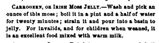 moss jelly.JPG moss jelly.JPG