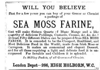 moss1 1871.JPG moss1 1871.JPG