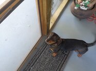 SAM_0223.JPG