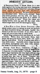 Sunny South, Aug. 31, 1878 -- page 8.png