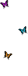 butterfly.gif