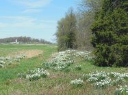 Gettysburg 4-21-13 014.JPG