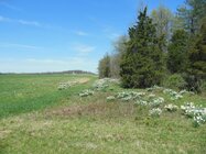 Gettysburg 4-21-13 009.JPG