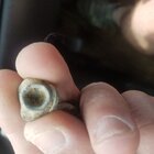 20170527_133600.jpg