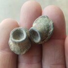 20170528_172655.jpg