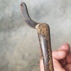 20170530_091516.jpg