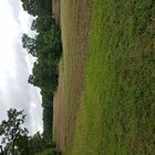 20170604_150315.jpg