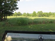 0779 Wilsons Creek BF.JPG