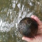 20170828_131819.jpg