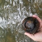 20170828_131822.jpg
