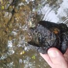 20170828_134729.jpg