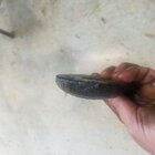 20170829_101016.jpg