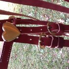 CSoffbridle3.JPG