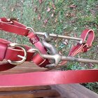 CSoffbridle4.JPG