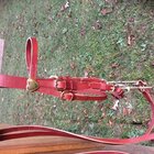 CSoffbridle5.JPG
