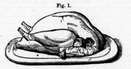 Trussing-a-Bird.jpg