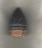 cwbullet1.jpg
