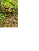 Where I found possible Civil War relic.jpg