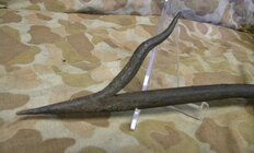 DSCN8758_InPixio.jpg