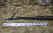 DSCN8759_InPixio.jpg