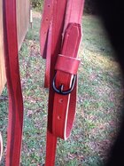 CS em Bridle 2.JPG