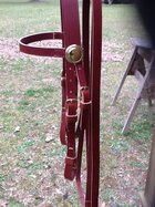 CS off Bridle3.JPG