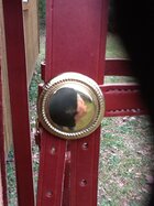 CS Off Bridle2.JPG