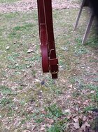 CS Off Bridle4.JPG