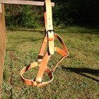 5 Ring Halter.JPG