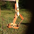 5 ring Halter 3.JPG