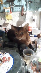IMG_20180102_213047_burst_03.jpg IMG_20180102_213047_burst_03.jpg