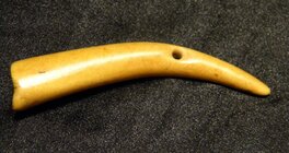 DSCN9523_InPixio.jpg
