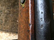 IMG_9675.jpg