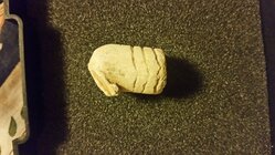 20180629_235435.jpg