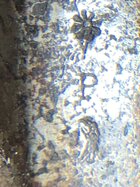 5E598BD8-23DC-40ED-8ACF-A254D9C25002.jpeg