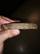 IMG_20180720_190634.jpg