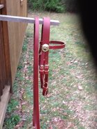 CS off Bridle.JPG