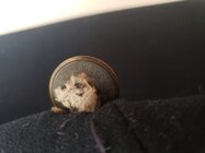 20180814_122145.jpg