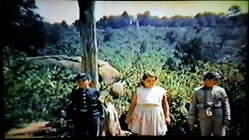 979DC64A-E304-4241-9EE5-F1B2D7DBCB20.jpeg