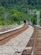 11020D54-8986-437B-8A0D-8EEDDFFAE4E2.jpeg
